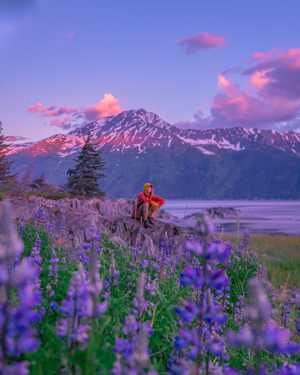 CAMPROBBER_'s tweet photo. Bird Point  Alaska https://t.co/Zam590JCE5