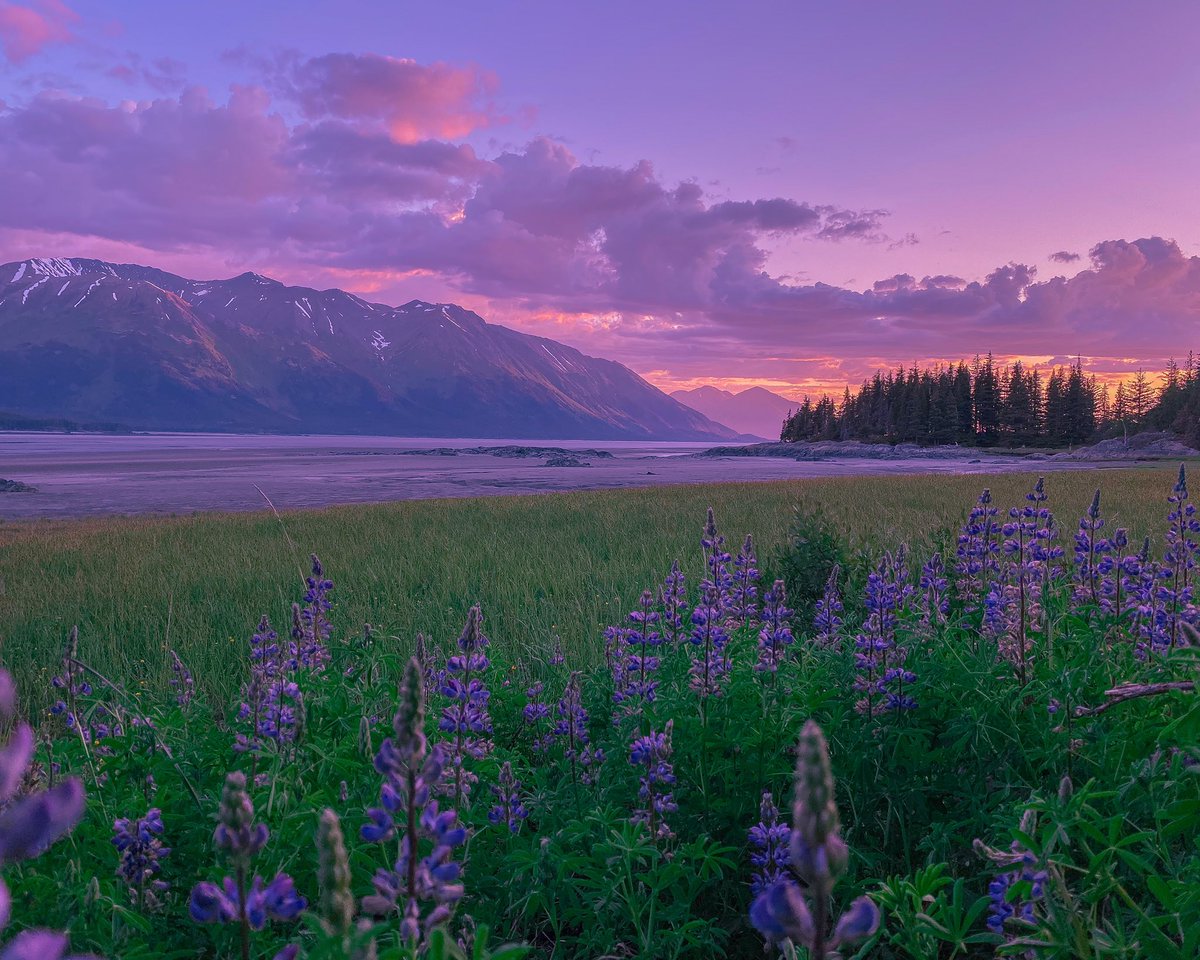 CAMPROBBER_'s tweet photo. Bird Point  Alaska https://t.co/Zam590JCE5