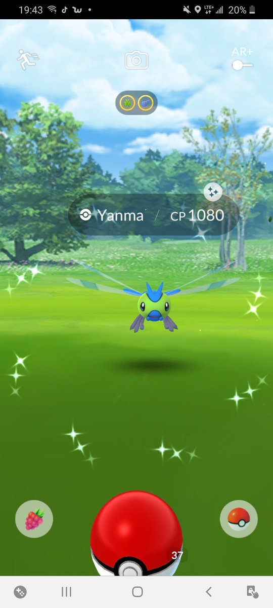 shiny_cat's tweet photo. Was taking a walk with my sister and had a feeling I wpuld be getting a shiny Yanma today. FINALLY!!! <3
#pokemongo https://t.co/DYq7eWeHgL