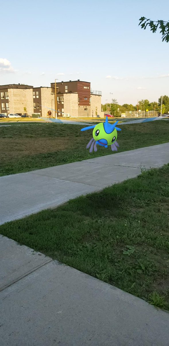 shiny_cat's tweet photo. Was taking a walk with my sister and had a feeling I wpuld be getting a shiny Yanma today. FINALLY!!! <3
#pokemongo https://t.co/DYq7eWeHgL