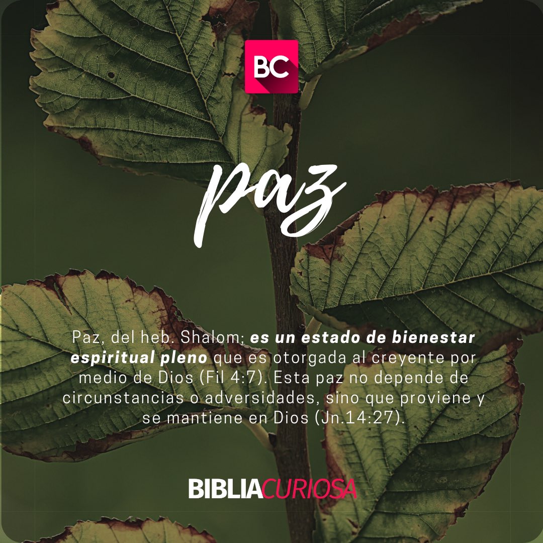 BibliaCuriosa's tweet photo. https://t.co/txP6816NQz