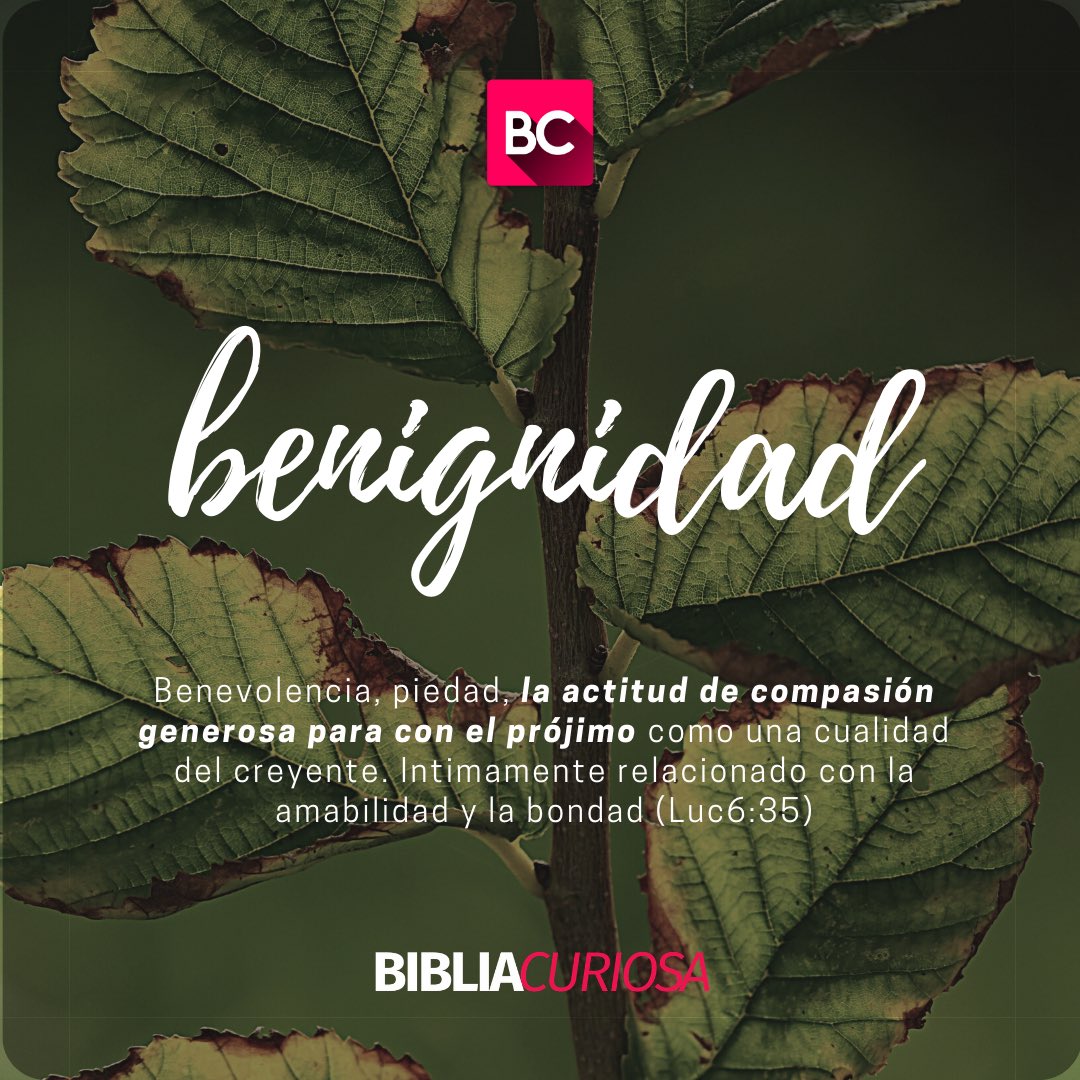 BibliaCuriosa's tweet photo. https://t.co/8icjwTTObK