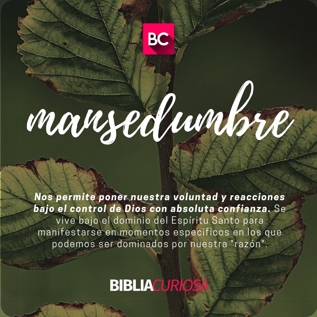 BibliaCuriosa's tweet photo. Contra tales cosas no hay ley. 

(Gálatas 5:22-23) https://t.co/kE64E0hjMF