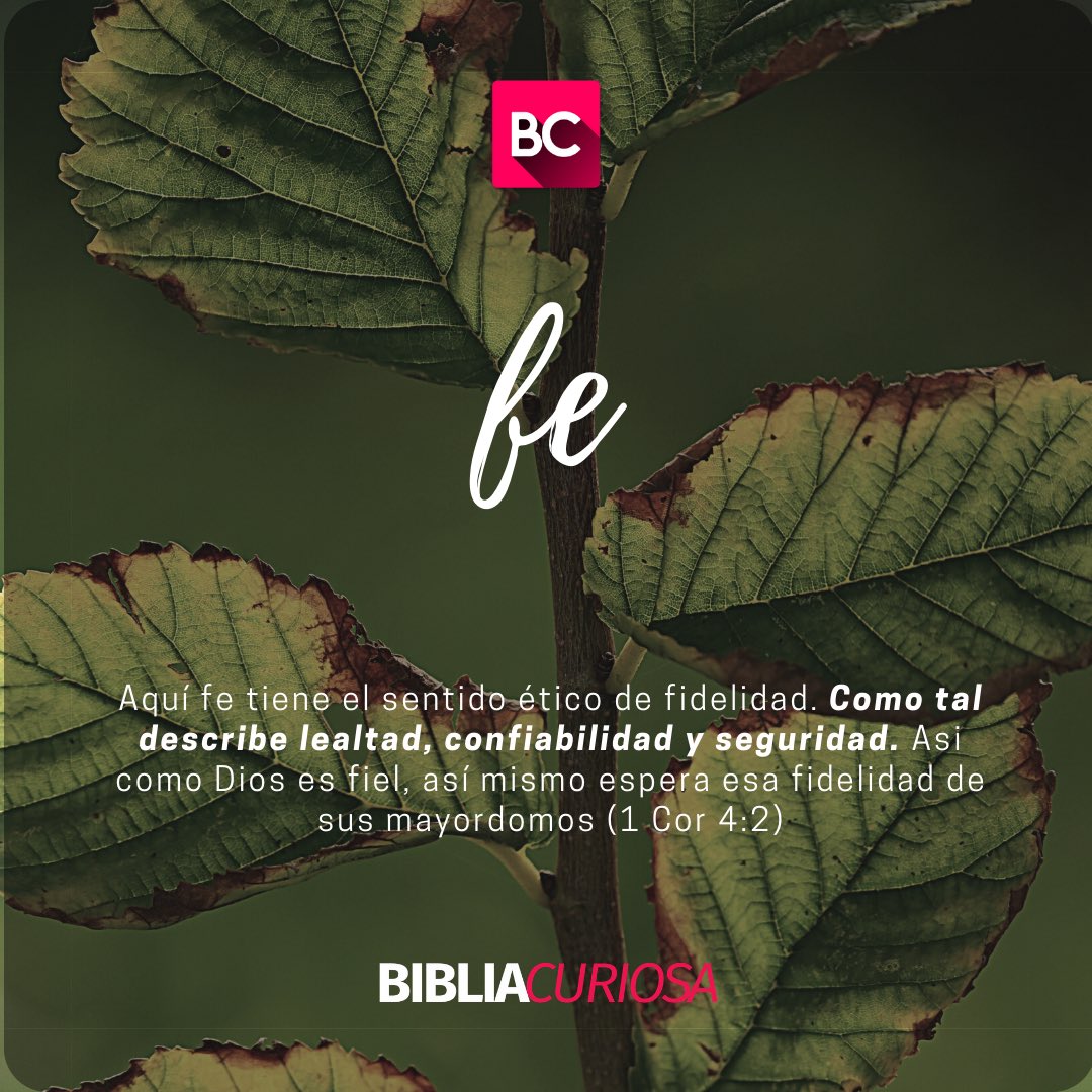 BibliaCuriosa's tweet photo. https://t.co/8icjwTTObK