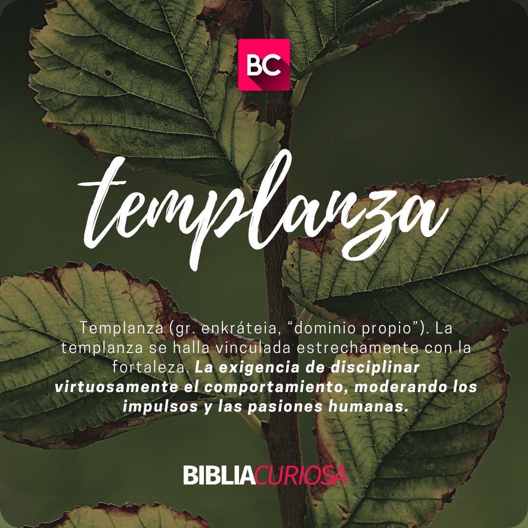 BibliaCuriosa's tweet photo. Contra tales cosas no hay ley. 

(Gálatas 5:22-23) https://t.co/kE64E0hjMF