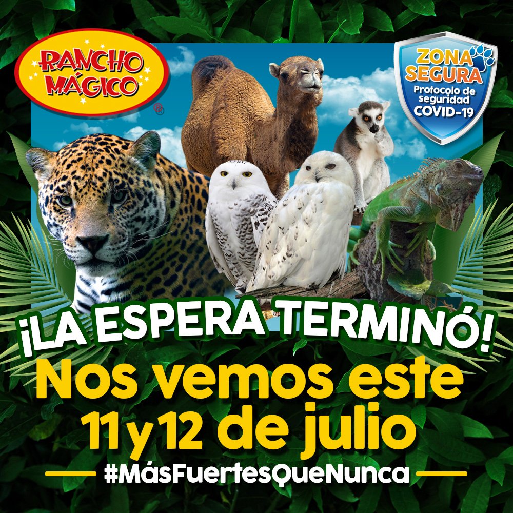Todo el equipo de Rancho Mágico estamos tomando las medidas sanitarias necesarias establecidas por las autoridades para que volvamos a vernos este 11 y 12 de julio y puedas vivir una experiencia inolvidable en compañía de tu familia. 🐔🐷🐰🐮🦁🐯🦉🐴🐢🐍🐊🐪

#MásFuertesQueNunca