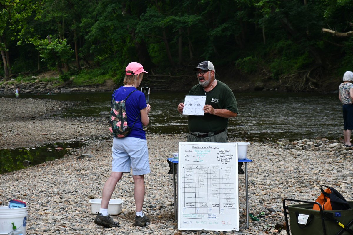 Duff_SciLRHS's tweet photo. We may or may not be back in a school building by August.  Either way, these volunteers from the HoCo Conservancy are working hard this summer to give our students a meaningful watershed experience.  TY @AnnStrozyk and @HCConservancy https://t.co/kyaYLCDHqo
