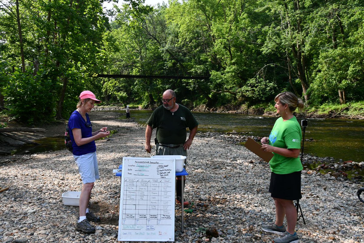 Duff_SciLRHS's tweet photo. We may or may not be back in a school building by August.  Either way, these volunteers from the HoCo Conservancy are working hard this summer to give our students a meaningful watershed experience.  TY @AnnStrozyk and @HCConservancy https://t.co/kyaYLCDHqo