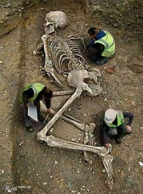 Terror Y Datos Curiosos La Arqueologia Prohibida La Verdad Sobre La Existencia De Gigantes La Biblia Del Cristianismo Menciona La Existencia De Gigantes Hijos De Angeles Con Humanos Terror Y Datos Curiosos La Arqueologia Prohibida La Verdad Sobre La Existencia De Gigantes La Biblia Del Cristianismo Menciona La Existencia De Gigantes Hijos De Angeles Con Humanos