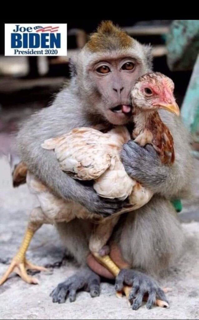 Voting is you saying what you want, not you supporting who you think can win. It's not a horse race. It's not a prize fight. It's you saying what's best for our country, and if you say what's best is an old guy who has spent his career fighting to militarize police forces... 6/8