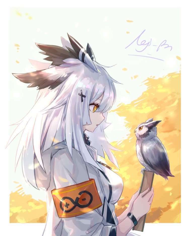 1girl owl white hair armband bird elite ii (arknights) upper body  illustration images