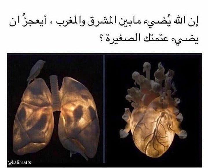 HalaMomen7's tweet photo. 🤲💓 https://t.co/82AOCsGvnE