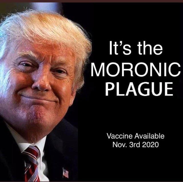 sheets_dianna's tweet photo. @DonaldJTrumpJr Your dad is extremely busy... busy killing as many Americans as he can! #TrumpVirus #TrumpIsKillingUs #TrumpIsLosing #TrumpCrimeFamily #NeverARepublican #VoteThemOut https://t.co/qWiA6Ie6Zn