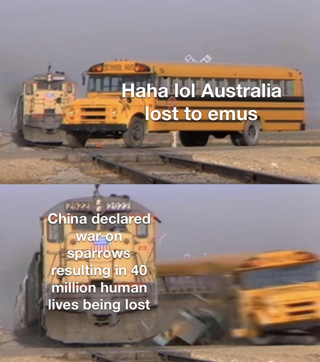 r_HistoryMemes's tweet image. I use this to counter the fools who bring up the emu war. (Oversimplified is pardoned) redd.it/hmj8sg