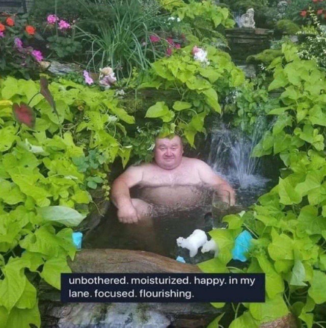 WholesomeMemes (@wholesomememe) on Twitter photo 