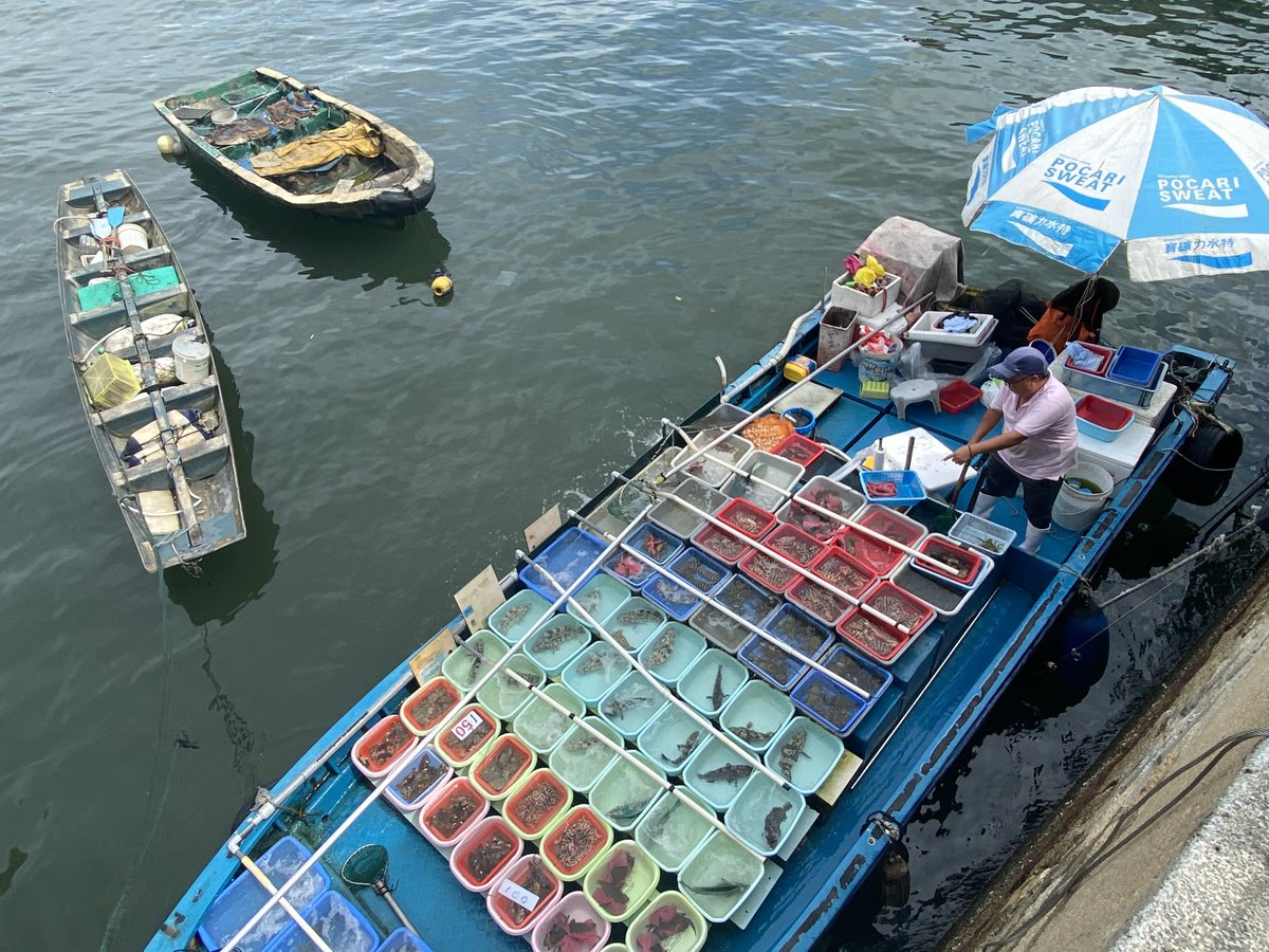 ThePointTaken's tweet photo. #VisualHK: This top view shows fishmongers, including one displaying colorful living fishes and sea animals for sale in Sai Kung town, #HongKong. 🐠🐟🐡
(📷Edmond Tang / China Daily) https://t.co/QjOdJswc5o