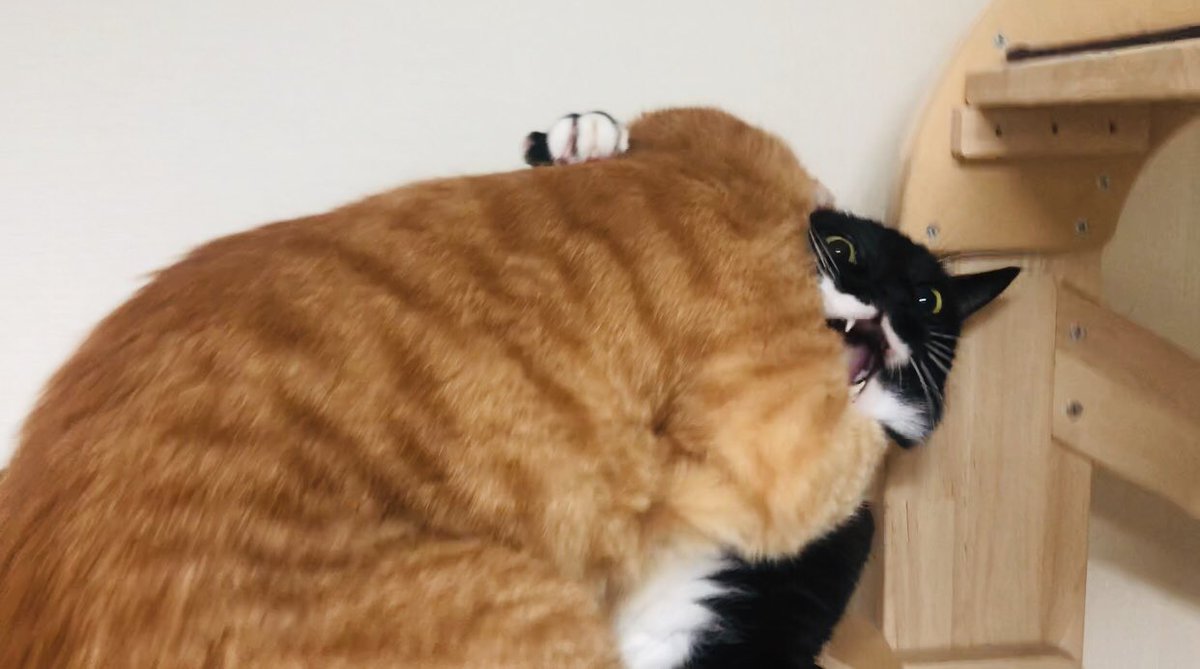 나 아무맛도 안나!