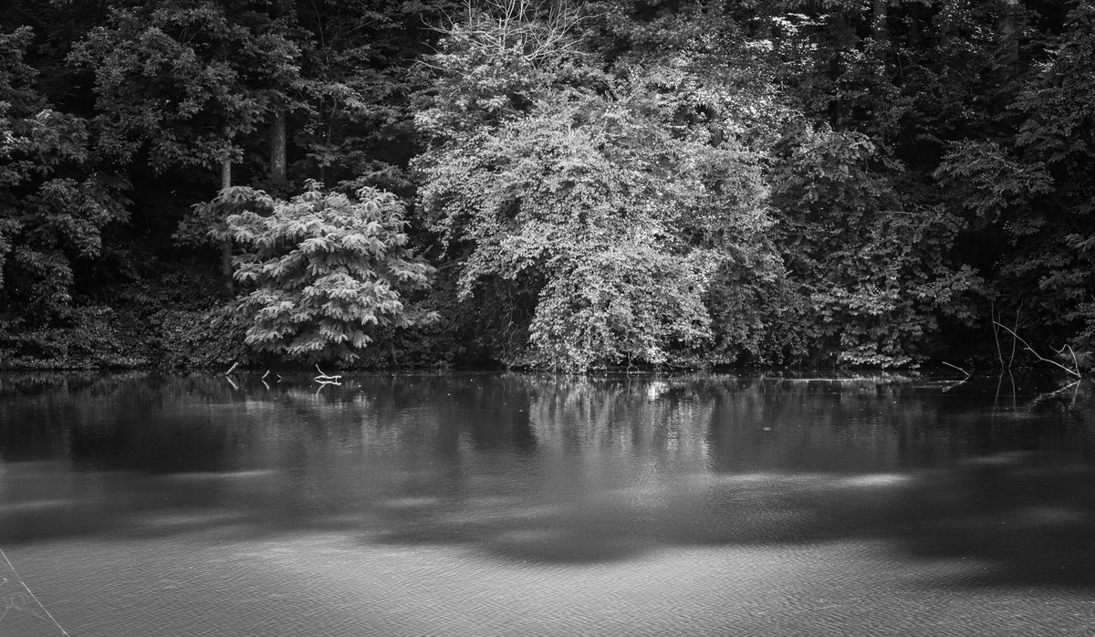 _OddGeek's tweet photo. “So lovely was the loneliness of a wild lake.” – Edgar Allan Poe #OddVision #WSNC #TanglewoodPark #Canon90D #AspiringPhotographer #AspiringFilmmaker #EmbraceTheMagic #TrustTheProcess https://t.co/oRMDaEHNwA