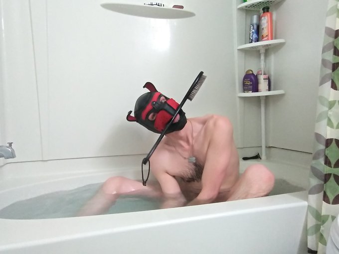 1 pic. Splish splash! https://t.co/rDaF4zuJCn