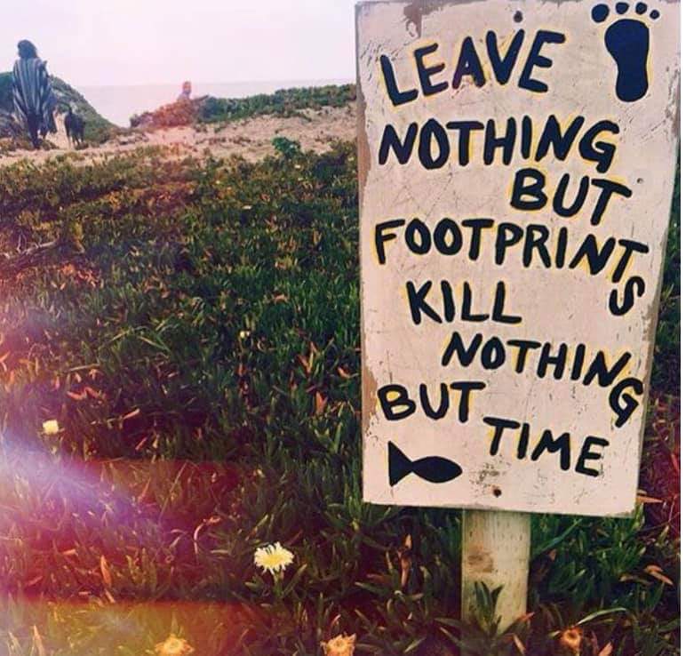AkExplorations's tweet photo. πππ #akexplorations #floridaexplore #openyourhearttonewadventures #explorepage #urbex #exploremore #beagoodhuman #YouTubers #roadTrip #traveler #Nomadic #SUBSCRIBE #SupportSmallStreamers π https://t.co/32svbAzGqf https://t.co/UQ1CuBZ9Or