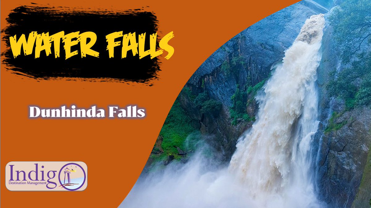 IndiGo_LK's tweet photo. Water Falls in Badulla District - Dunhinda Ella

#Waterfalls #Ella #SriLankasBeauitifulWaterFalls #SriLanka #UvaProvince #Badulla #MagicalSriLanka #NaturalWaterPools #DunhidaElla #DunhindaElla https://t.co/qBoNvcqOYa