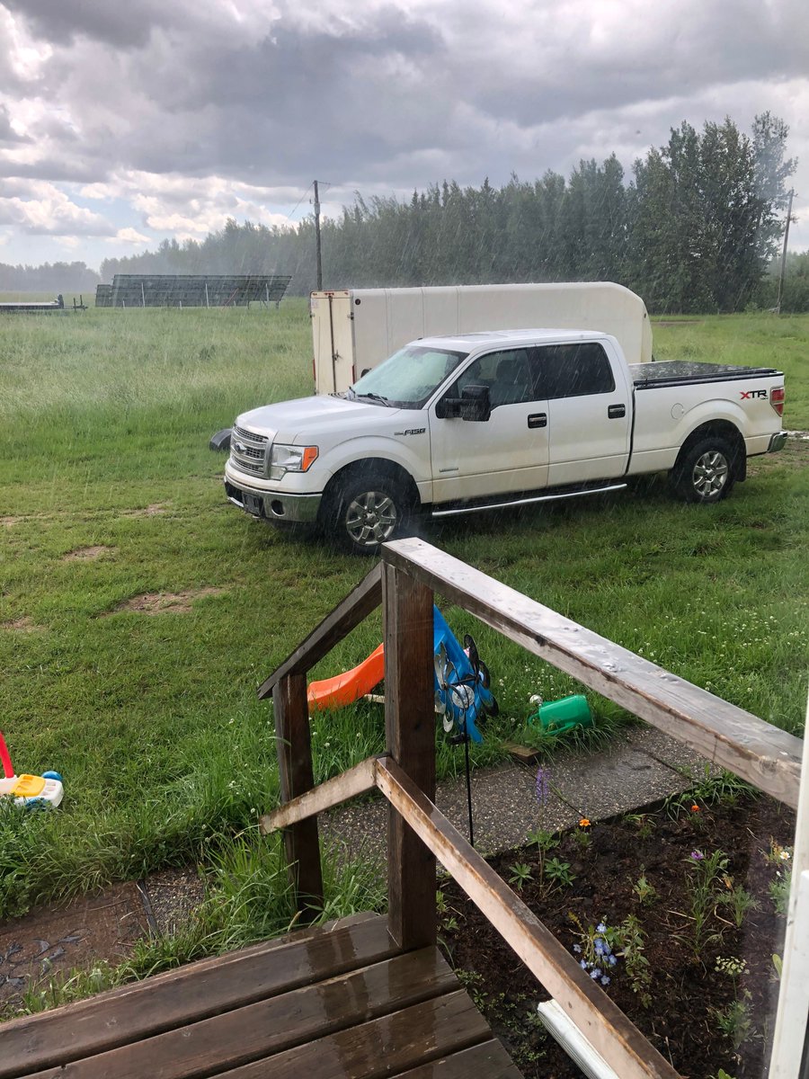 ChickadeeFarmHe's tweet photo. The T-shirt says it all. New baby, too much rain &amp; no help because of Covid the farmer is practicing his keeping calm skills.  
#2020 #smallfarmlife #keepcalmandcarryon https://t.co/1wY9CLCKan