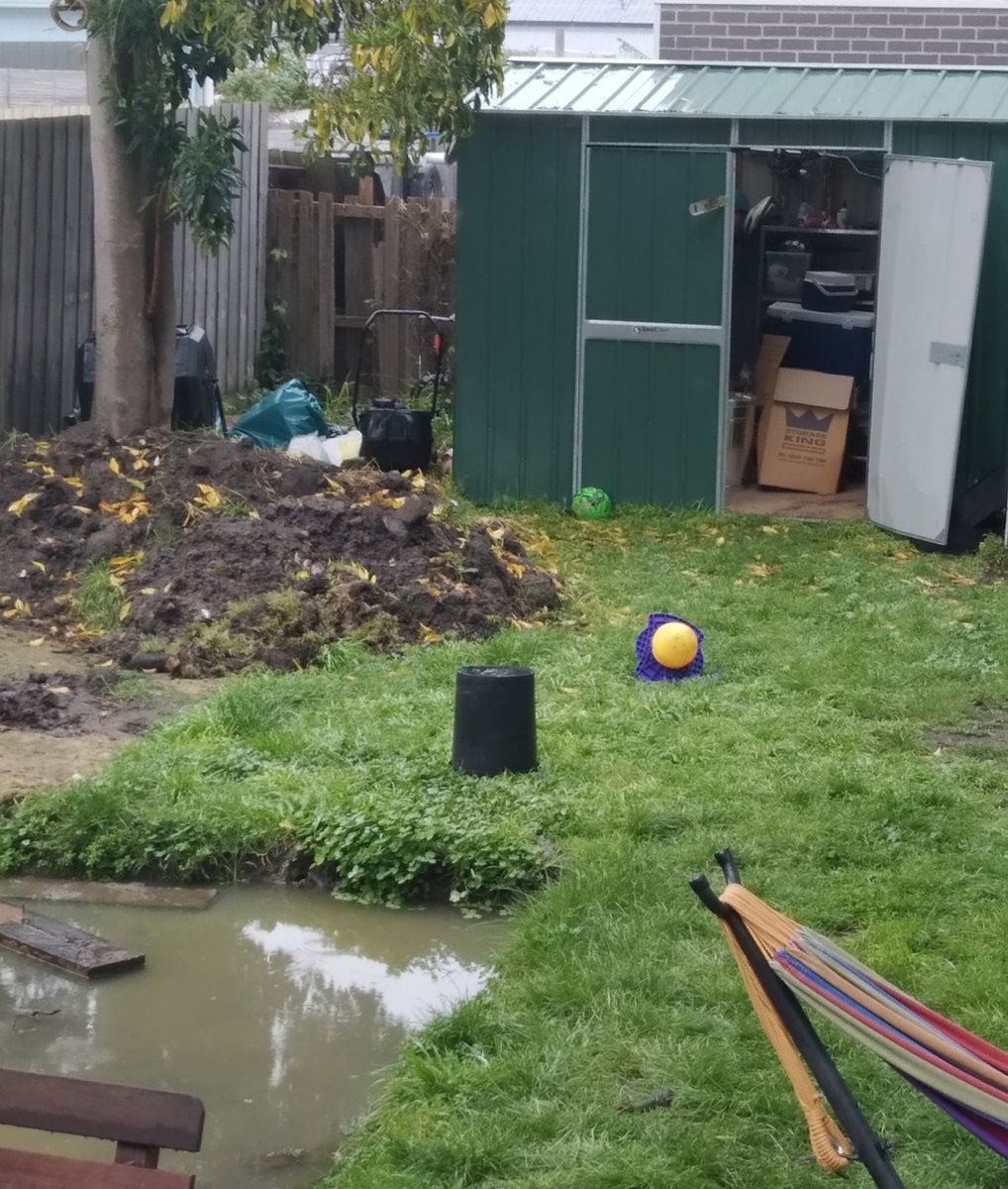 Kitchen_Mirror's tweet image. I'm getting strong rainforest vibes