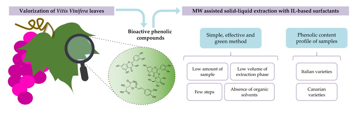 Molecules_MDPI's tweet photo. #mdpimolecules Sustainable Micro-Scale Extraction of Bioactive Phenolic Compounds from Vitis vinifera Leaves with Ionic Liquid-Based Surfactants https://t.co/r1AXpWCRjV #bioactivephenolics #grapevine #greenextraction #samplepreparation #ionicliquid https://t.co/53IDyrCn2r