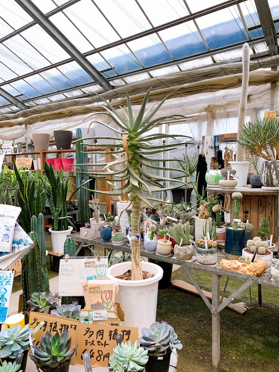 Etiqueta 久山植木 Al Twitter Etiqueta 久山植木 Al Twitter