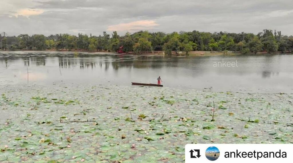 BBSRBuzz's tweet photo. #bhubaneswarbuzz #botanicalgarden pic courtesy @ankeetpanda
・・・
#bhubaneswar 😍
.
#cornersofindia #travelrealindia #_coi #_m_o_i #_instaindia_ #_travelersofindia #cornersofindia #incredibleindia #TheInvincibleIndia #WahhIndia #indianphotographyhub #indiadiaries #lonely… https://t.co/Y2gwrb5jwM