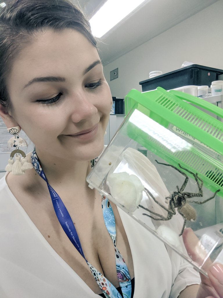 Dr Samantha Nixon (@samnscience) on Twitter photo <a href="/LizyLowe/">Dr Lizzy Lowe</a> <a href="/ChelseaParlett/">Chelsea Parlett</a> <a href="/TheAtavism/">David Winter</a> <a href="/Cataranea/">Dr. Catherine Scott (she/they)</a> @Lanipai <a href="/gotlegsmacro/">Caitlin Henderson (She's got Legs)</a> <a href="/drspidernz/">Fiona Cross</a> <a href="/spiderdayNight/">Dr. Sebs Echeverri @spiderdaynightlive.bsky.social</a> <a href="/SpiderCait/">Caitlin Selleck</a> @Shakiguani @InvertoPhiles <a href="/arachno_joe/">Joseph Schubert π·οΈ</a> <a href="/BritishSpiders/">BAS</a> <a href="/AusArachno/">Australasian Arachnological Society</a> <a href="/AAS_arachnology/">American Arachnological Society</a> <a href="/ISArachnology/">ISArachnology</a> Hello! I'm a former arachnophobe, now spider manager at <a href="/VenomsLab/">Glenn King</a> <a href="/IMBatUQ/">Institute for Molecular Bioscience</a>! We study venoms to make new medicines & biotechnologies - everything from stroke drugs to eco-friendly insecticides! I make new drugs against parasites and do #scicomm to inspire next gen of scientists! <a href="/LizyLowe/">Dr Lizzy Lowe</a> <a href="/ChelseaParlett/">Chelsea Parlett</a> <a href="/TheAtavism/">David Winter</a> <a href="/Cataranea/">Dr. Catherine Scott (she/they)</a> @Lanipai <a href="/gotlegsmacro/">Caitlin Henderson (She's got Legs)</a> <a href="/drspidernz/">Fiona Cross</a> <a href="/spiderdayNight/">Dr. Sebs Echeverri @spiderdaynightlive.bsky.social</a> <a href="/SpiderCait/">Caitlin Selleck</a> @Shakiguani @InvertoPhiles <a href="/arachno_joe/">Joseph Schubert π·οΈ</a> <a href="/BritishSpiders/">BAS</a> <a href="/AusArachno/">Australasian Arachnological Society</a> <a href="/AAS_arachnology/">American Arachnological Society</a> <a href="/ISArachnology/">ISArachnology</a> Hello! I'm a former arachnophobe, now spider manager at <a href="/VenomsLab/">Glenn King</a> <a href="/IMBatUQ/">Institute for Molecular Bioscience</a>! We study venoms to make new medicines & biotechnologies - everything from stroke drugs to eco-friendly insecticides! I make new drugs against parasites and do #scicomm to inspire next gen of scientists!