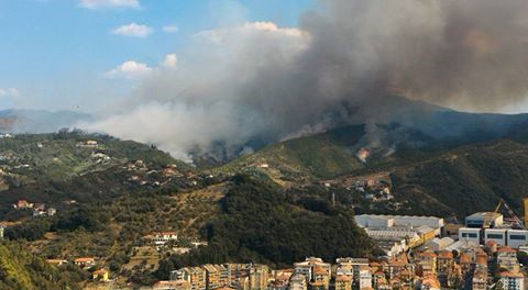 TigullioNews's tweet photo. Incendi nel Tigullio, allerta massima, non dichiarata ma concreta, causa vento e siccità - https://t.co/R2kvCXJ9d1 https://t.co/edmDH7x4wE