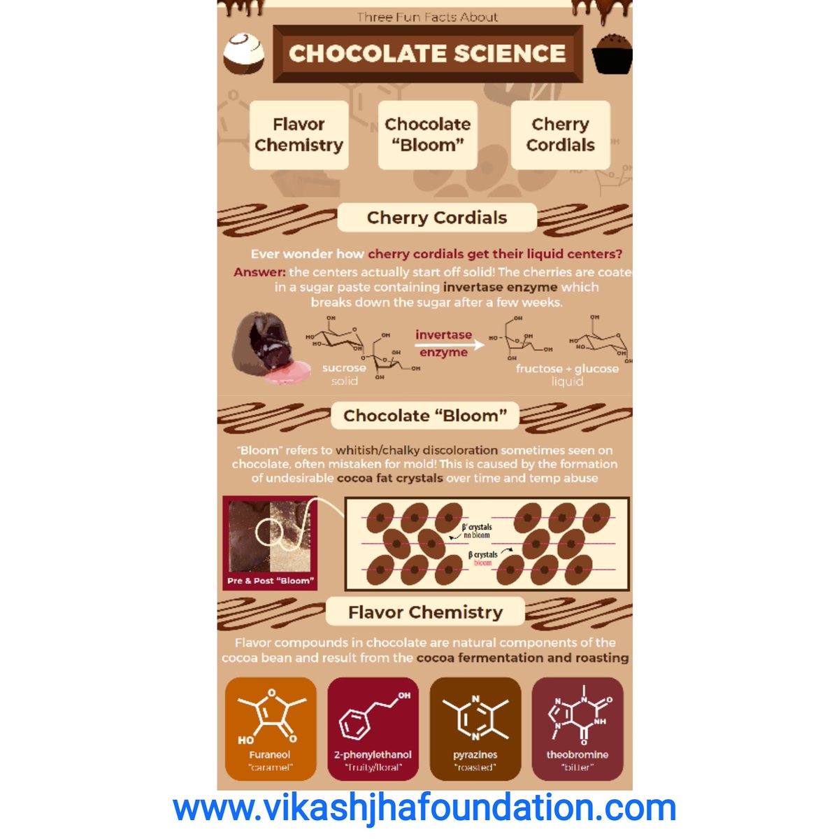 vjespl_official's tweet photo. ....because its  "WORLD CHOCOLATE DAY"🍫🍫... 
Theobroma Cacao is the tree that produces cocoa beans, and it means “food of the gods.” 
Carolus Linnaeus, the father of plant taxonomy, named it.
Image Source: https://t.co/nri8OMCMsm
(By Pat Polowsky)
#WorldChocolateDay2020
#vjespl https://t.co/af2Cho6UZc