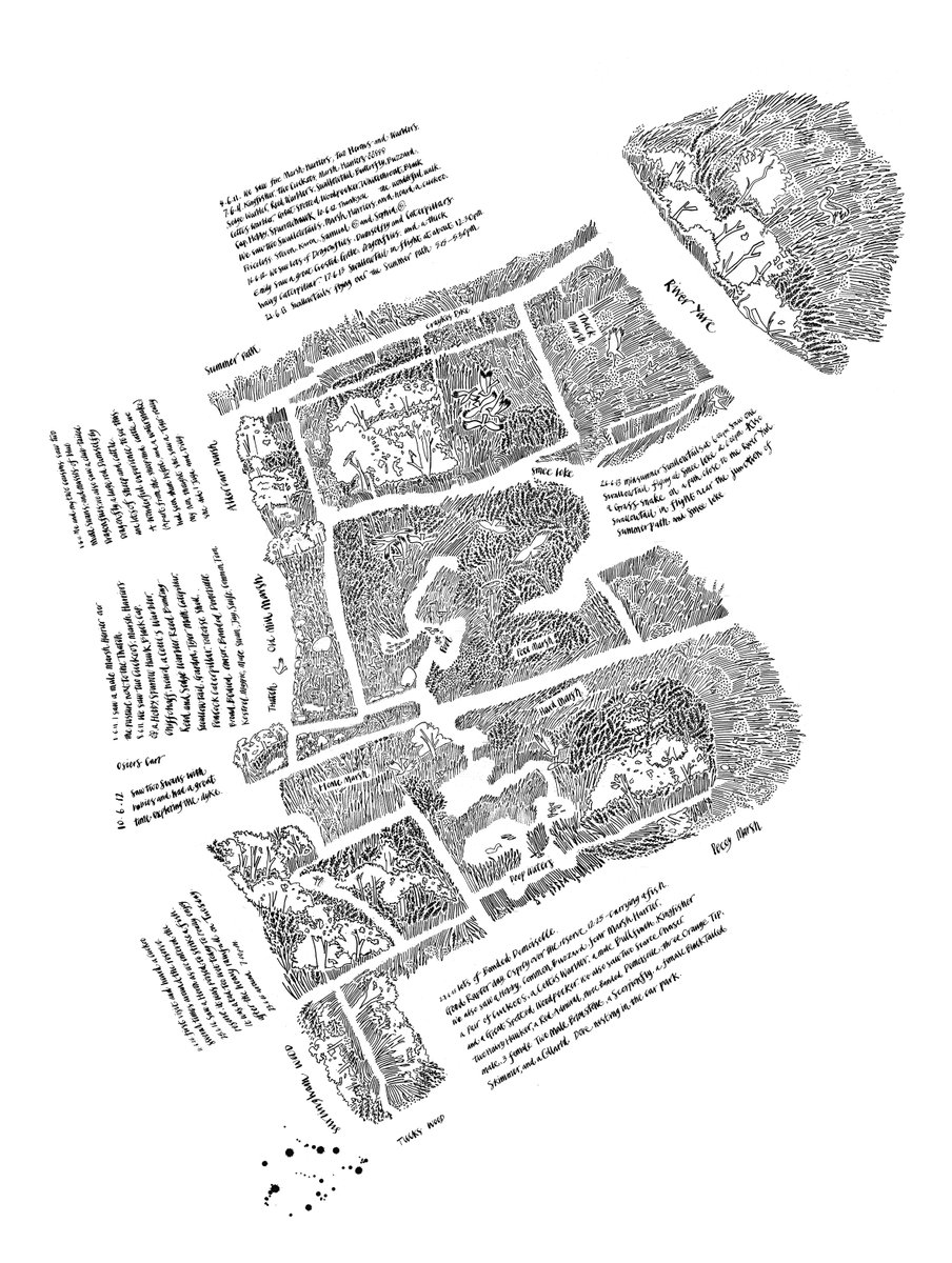 Broads_LPS's tweet photo. Celebrating maps!🗺️🙌
Throwback to a piece in our #MappingTheBroads exhibition earlier this year, a beautifully detailed illustration of @Wheatfen by @GlynBrewerton1. Up close, you can see the extraordinary details that make up the larger map #mapweek #welovemaps https://t.co/NwKxUBdY7J