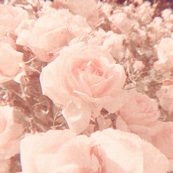 ykmintsuga's tweet photo. ｡* ✧ . ⋆ ☁︎

          "𝑜𝒽, 𝒽𝑜𝓌 𝓈𝓌𝑒𝑒𝓉 𝒾𝓉 𝒾𝓈
𝓉𝑜 𝒷𝑒 𝓁𝑜𝓋𝑒𝒹 𝒷𝓎 𝓎𝑜𝓊." ♡

                                   ☾ * . ⋆ ✧ °

@BTS_twt ⟭⟬
#ARMYSelcaDay #ARSD #BTS #ARMY https://t.co/1WluYvmunV