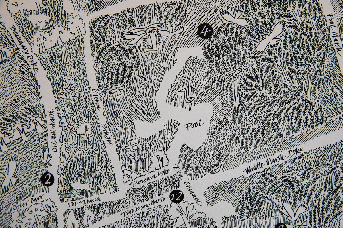 Broads_LPS's tweet photo. Celebrating maps!🗺️🙌
Throwback to a piece in our #MappingTheBroads exhibition earlier this year, a beautifully detailed illustration of @Wheatfen by @GlynBrewerton1. Up close, you can see the extraordinary details that make up the larger map #mapweek #welovemaps https://t.co/NwKxUBdY7J