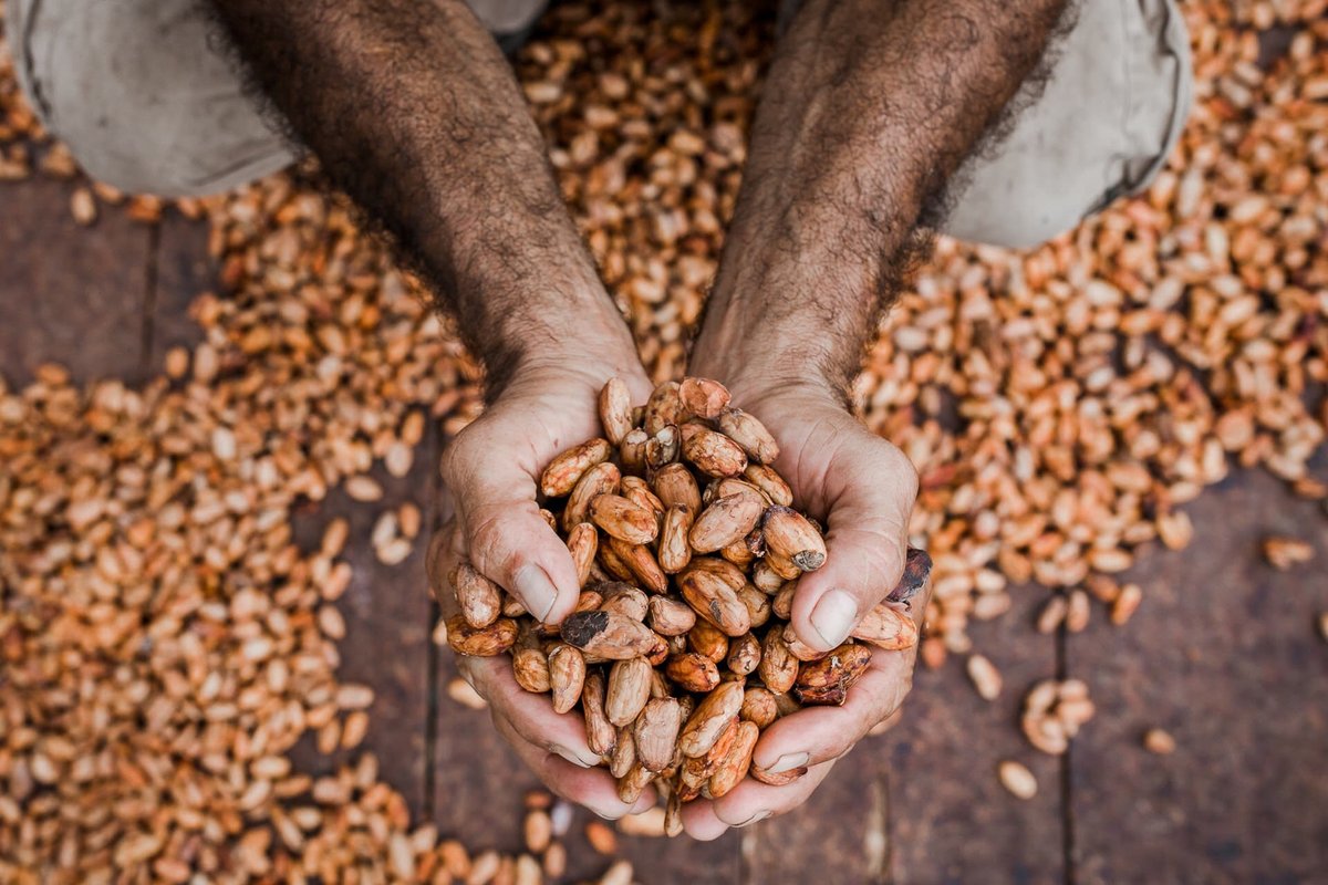 It's world chocolate day today! We believe in the best quality chocolate and a supply chain where everyone is valued. 
Use FAIRCHOC to get 25% off your basket on our website - today only!
⁠