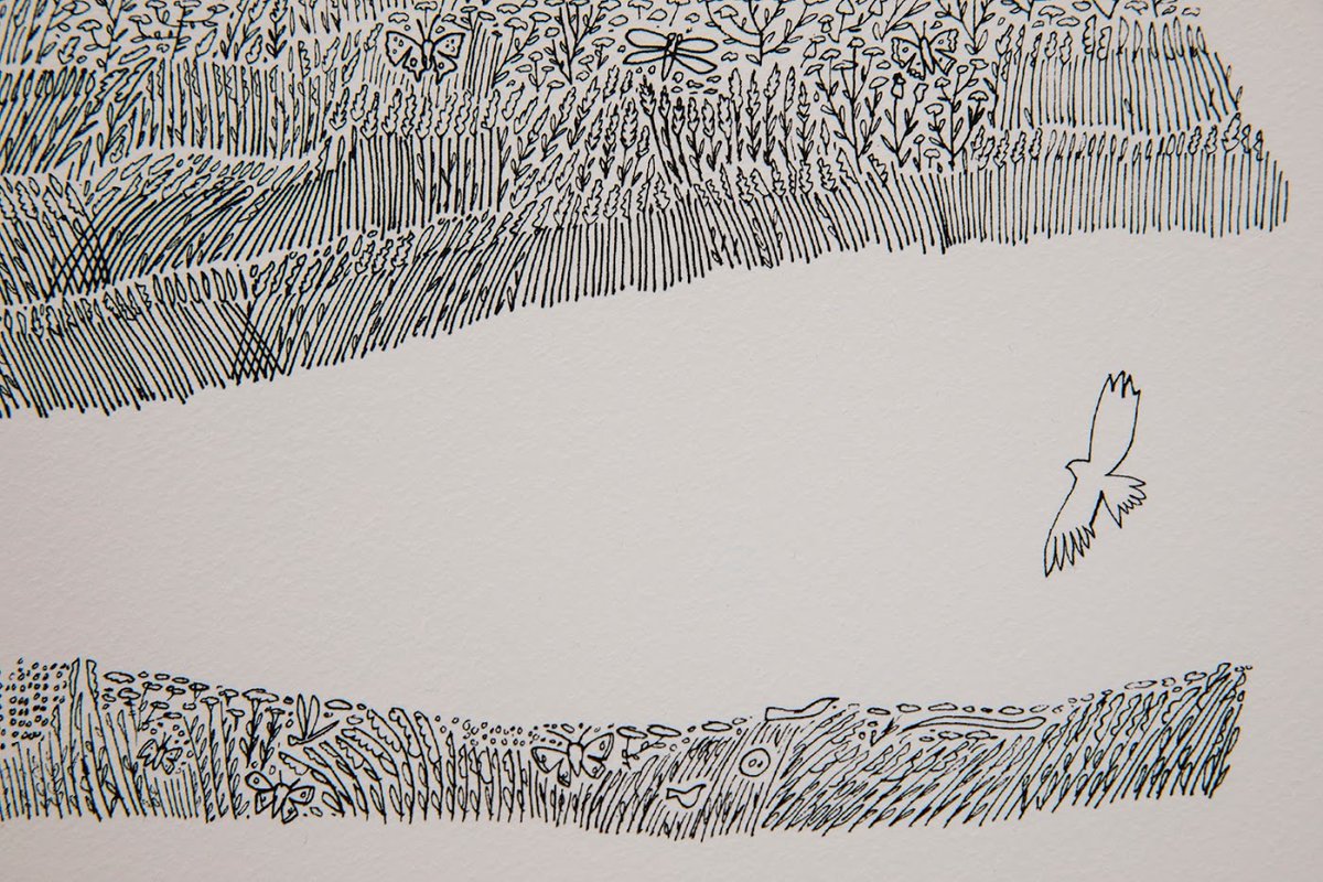 Broads_LPS's tweet photo. Celebrating maps!🗺️🙌
Throwback to a piece in our #MappingTheBroads exhibition earlier this year, a beautifully detailed illustration of @Wheatfen by @GlynBrewerton1. Up close, you can see the extraordinary details that make up the larger map #mapweek #welovemaps https://t.co/NwKxUBdY7J