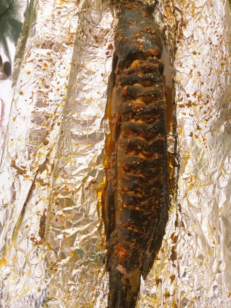 Tender_Lights's tweet photo. Will u buy this delicious barbecue catfish for just 1999 naira? #KubwaGrills #AbujaTwitterCommunity 
Help a brother promote is buiness 
Rt appreciated https://t.co/7SvivPAM9G