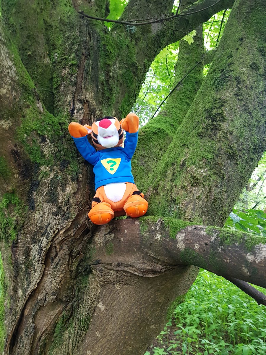 jsmith2329's tweet photo. And in the woods today ....
Walk done and home for SW pancakes 
#bodymagicmoments
#slimmingworld https://t.co/BuPc2VFM8A