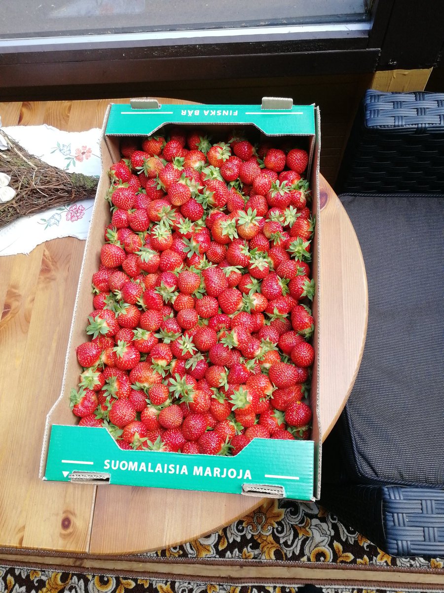 JuhaTenhonen's tweet photo. Se on sit tiistai 😊 #suomalaisia #mansikoita #polka #ltk #nro4 #kesäloma #mummola #tohmajärvi #keskikarjala #pohjoiskarjala #täälläonihmisenhyväolla #täysihoito #tähänvoisitottua #lupanauttia #yhdessäolemmevahvempia #yhdessävietettyaika #onnionrakkaatlähellä #onnionhyvätystävät https://t.co/l2LIYAuIzt