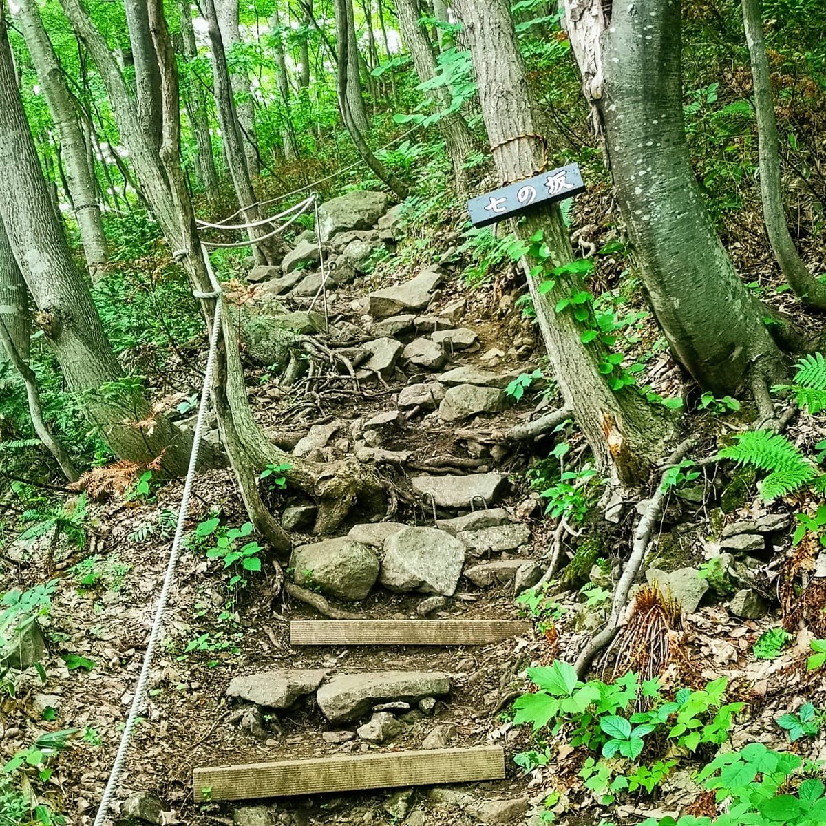 Keiichi1957's tweet photo. @ykk919 @AFK_skier 低山登山🗻&amp;サイクリングかなぁ～(^∧^) https://t.co/RFPBQFoKMg