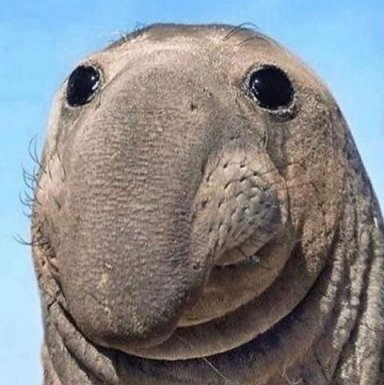 Ich...jeden Tag auf Arbeit...😅🤣 den Rest könnt ihr euch denken