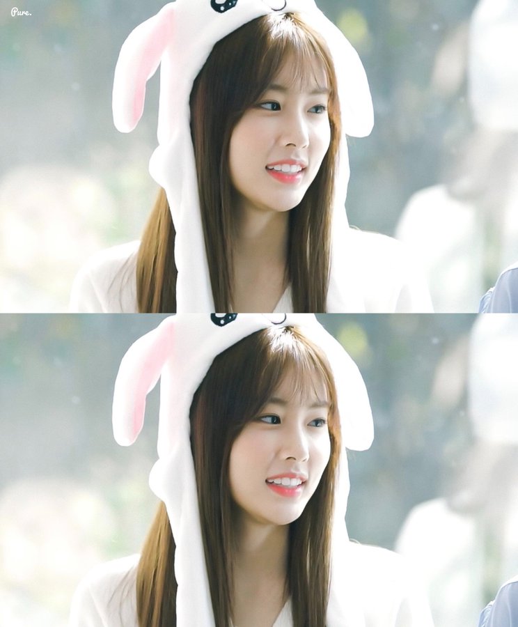 ㅤㅤㅤ  I know you're already see this for 10000nth times, but i hope this rabbit can make you feel happy ㅤ