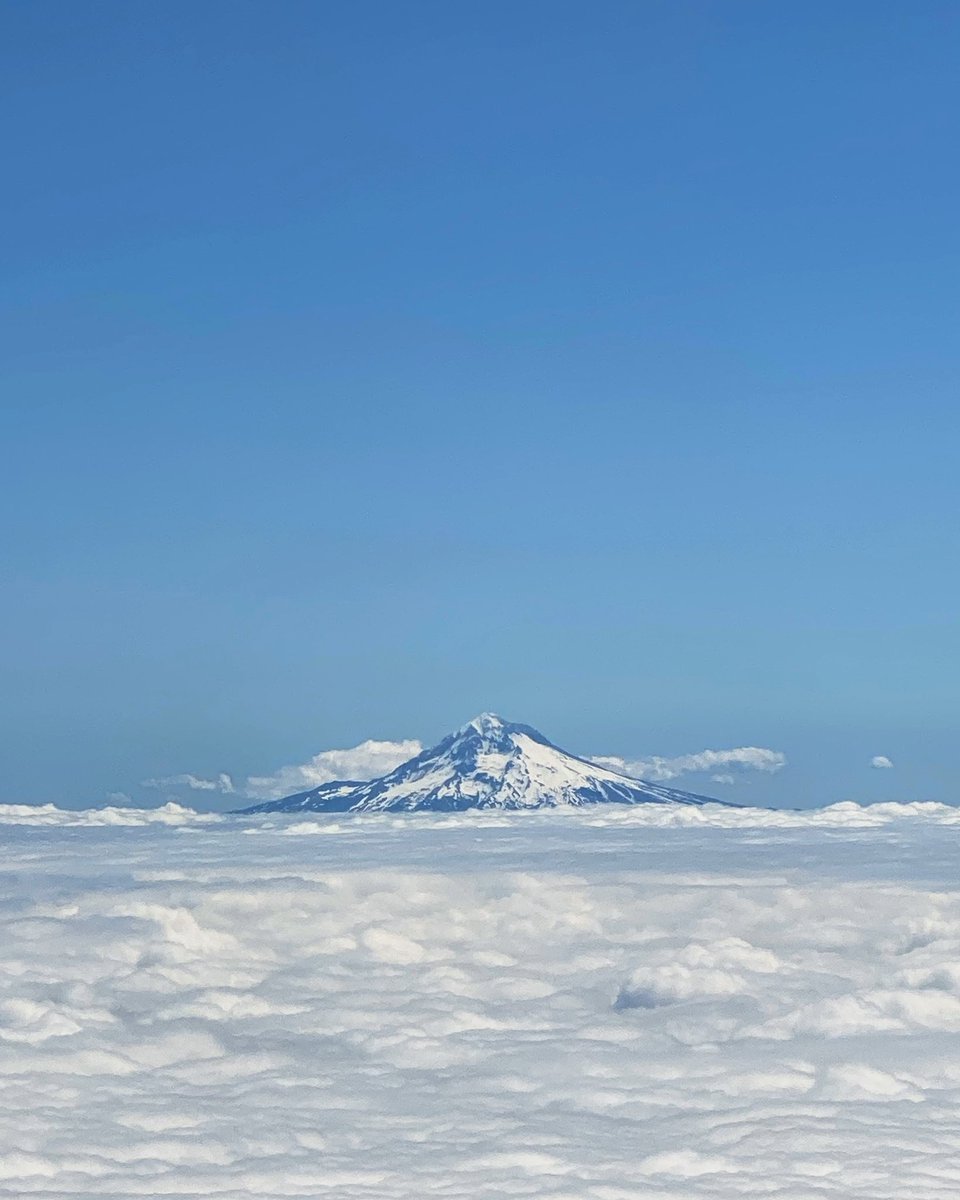 JuanNader's tweet photo. La inmensidad de la tierra parece desvanecer cuando nos enfocamos exclusivamente en nuestro día a día. Acá un recuerdo del maravilloso mundo en el que vivimos. 🗻 🌎

https://t.co/wxaucwPSJy

#Photography #MountHood #ShotOniPhone #11Pro https://t.co/ykD3vxfGpA