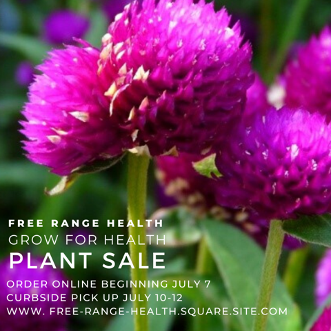 FreeRangeHealth tweet picture