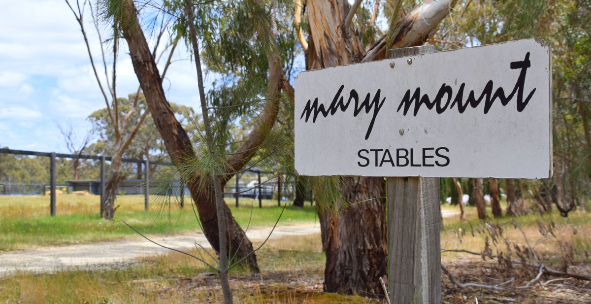 Neil Dyer Racing tweet media