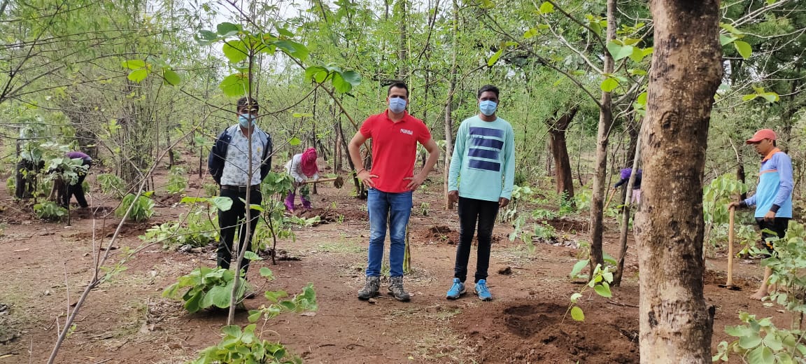 PareshC21052487's tweet photo. Plantation started now as there was enough rain...Vankal Range... https://t.co/FrAQC4KXRv
