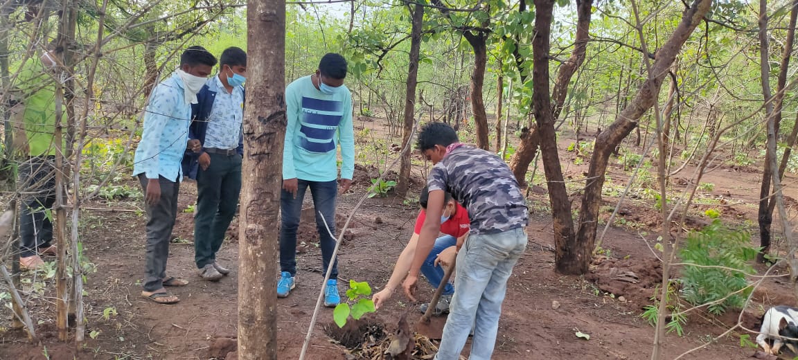 PareshC21052487's tweet photo. Plantation started now as there was enough rain...Vankal Range... https://t.co/FrAQC4KXRv