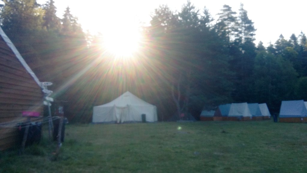 danelka_iv's tweet photo. Dobré ráno, twitřané 🌞
#Kalich, úterý 6:48 https://t.co/jVMgBrqh1x